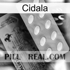 Cidala 44